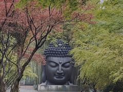 -杭州植物园