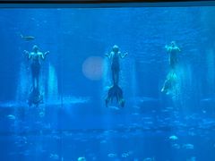 -南昌融创海世界