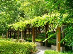 -徐家汇源景区-衡山公园