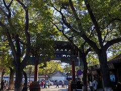 -北京国子监胡同