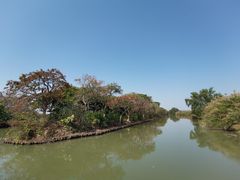 -大湾区中央湿地公园