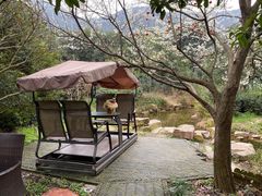 -树山生态村
