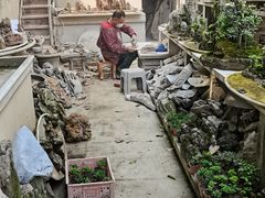 -金科花卉市场