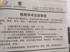 -伟伟宠物医院·瑞派猫友好医院·猫科(光谷店)