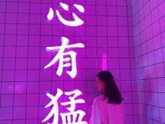 -金茂览秀城