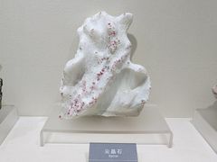 -安徽省地质博物馆