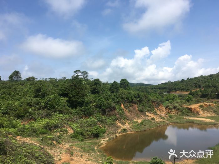 馬巒山郊野公園圖片