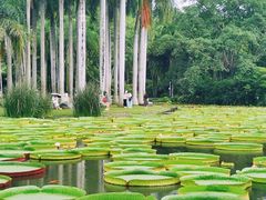 -中国科学院西双版纳热带植物园