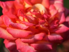 -共青国家森林公园-售票处