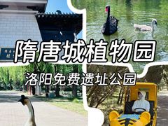 -洛阳市隋唐城遗址植物园