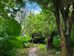 -华侨城湿地公园