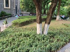 -重庆市江北嘴中央商务区中央公园