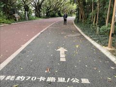 -南宁南湖公园