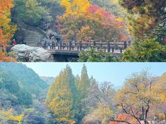 -国家植物园