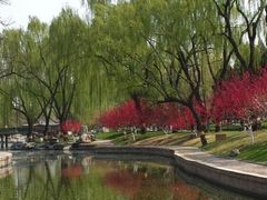 -深圳龙潭公园