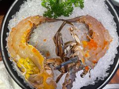 -东海怡品海鲜豆捞(舟宿夜江店)