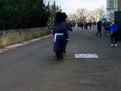 -温莎城堡