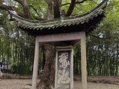 -兰亭风景区
