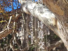 -西安交通大学(雁塔校区)