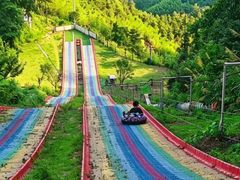 -长沙黑麋峰国家森林公园