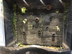 -一只烧鸡公(解放碑店)