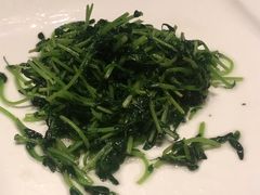 -上海中航虹桥机场泊悦酒店