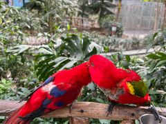 -南宫五洲植物乐园