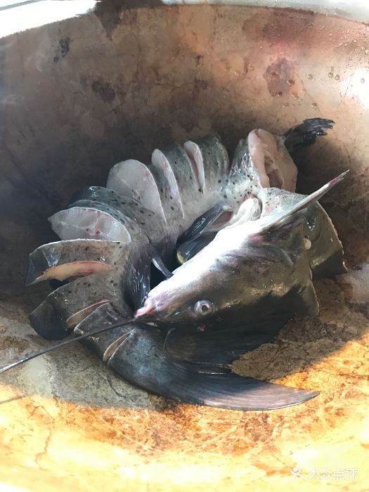云南蒸汽石锅鱼(虹口足球场店)长江鮰鱼图片 - 第105张