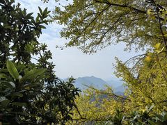-大慈岩风景区