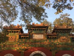 -北京国子监胡同