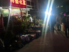 -中环花鸟鱼虫市场