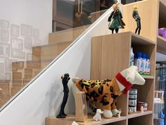 -佐罗家宠物馆·猫文化馆(紫霞路店)