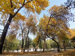 -元大都城垣遗址公园