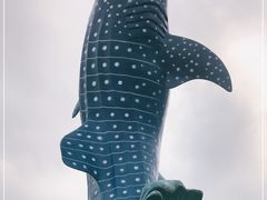 -珠海长隆海洋王国