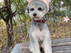 -佳雯宠物医院(金华南路分院)