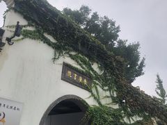 -金庸书院
