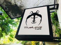 -TrueLove @ Neverland (Husky Cafe)