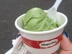 -哈根达斯(陆家浜路店)