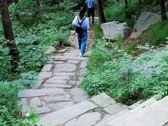 -无染寺
