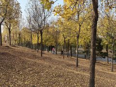 -东郊湿地公园