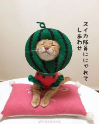 -贵阳和美妇产医院