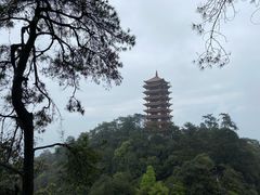 -缙云山景区