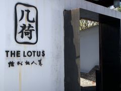-几荷·恰似故人来(秀水广场店)