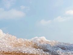 -日照海滨国家森林公园