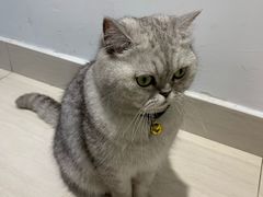 -Oasis绿洲银饰珍珠手作diy(壹方城店)