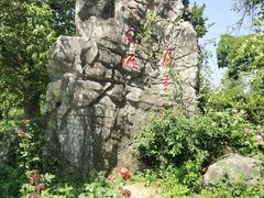 -鹅湖玫瑰文化园