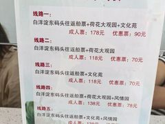 -白洋淀景区