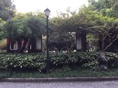 -江湾公园