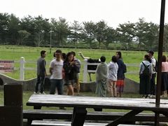 -瑞穗牧场