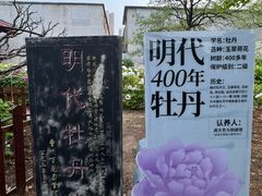 -曹州百花园
